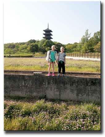 japanese countryside